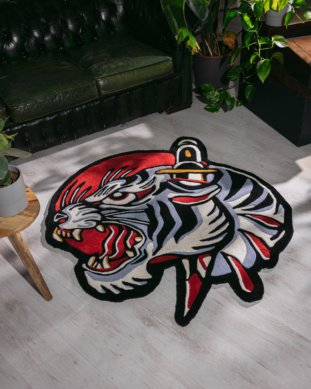 Sun Tiger