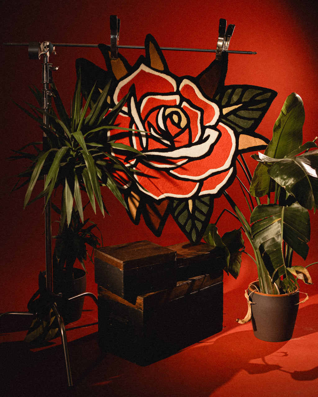 Red Rose